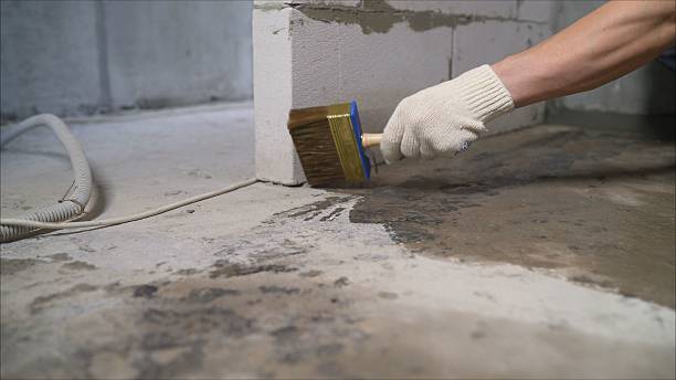 SJ Waterproofing Pros Emergency Waterproofing coverage map for Bridgeport, MI and surrounding area